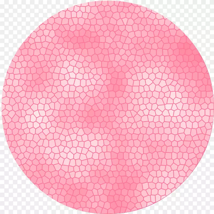 comentario�������������Դ-Circulo-������