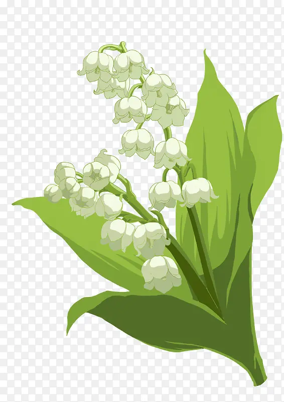 ��ɫ�����-������