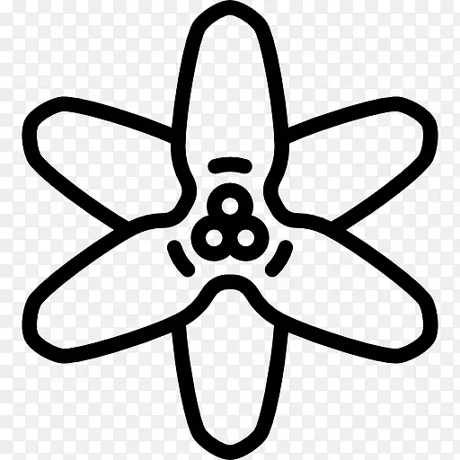 �����ͼ��-������