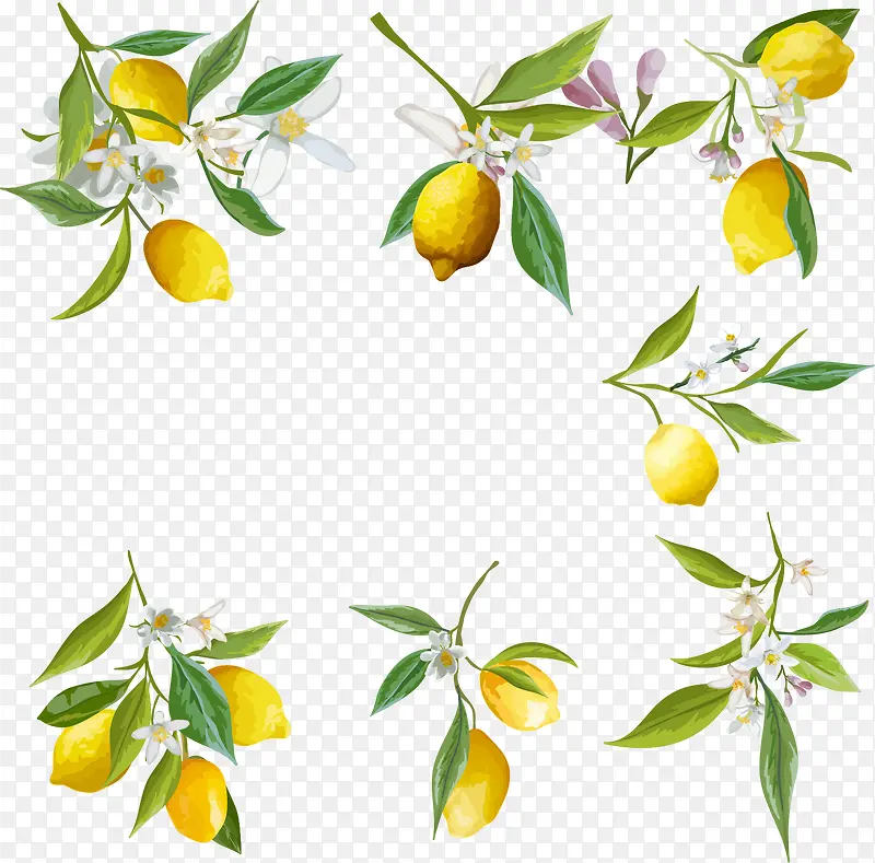 ʸ��ˮ������-������