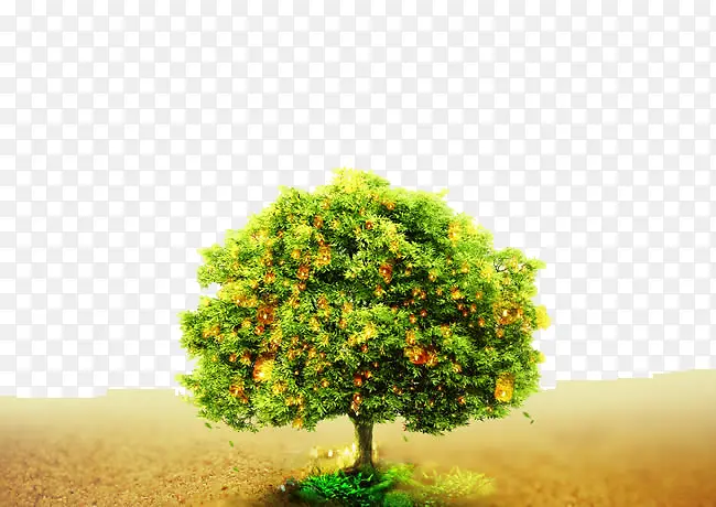 ��ͨ��Ը��-������