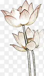 �ֻ��ɫ���ŵ�����-������