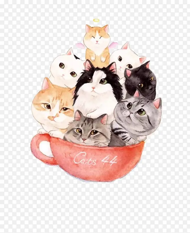 �����е�è-������