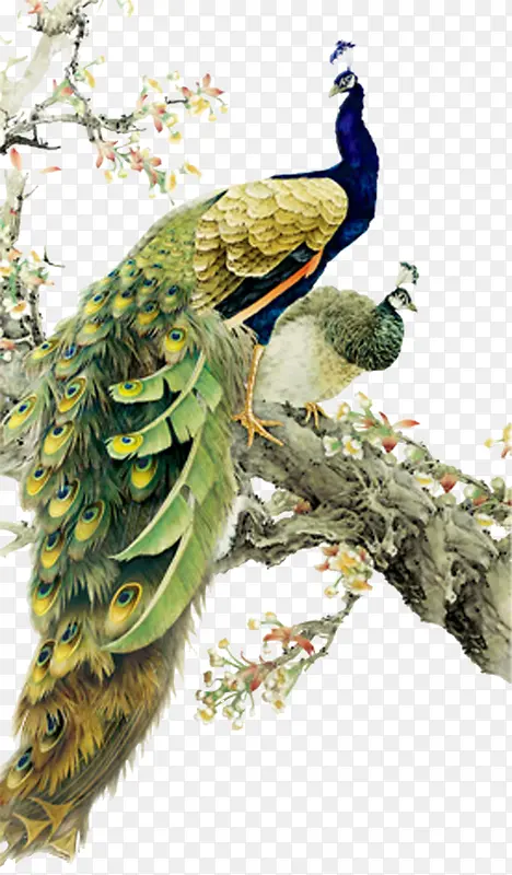 ��ɫ��ȸ�زı���-������