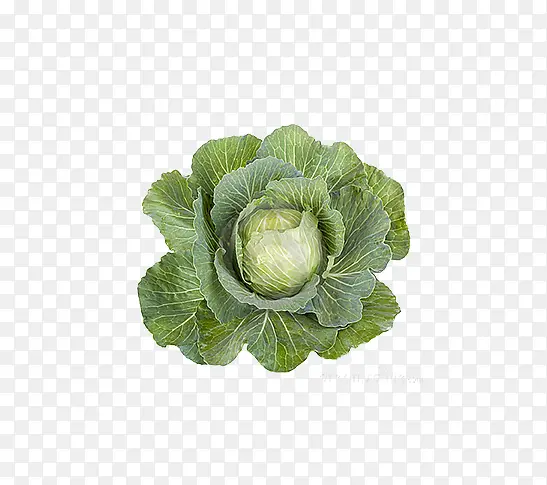 ��ɫ�߲�-������