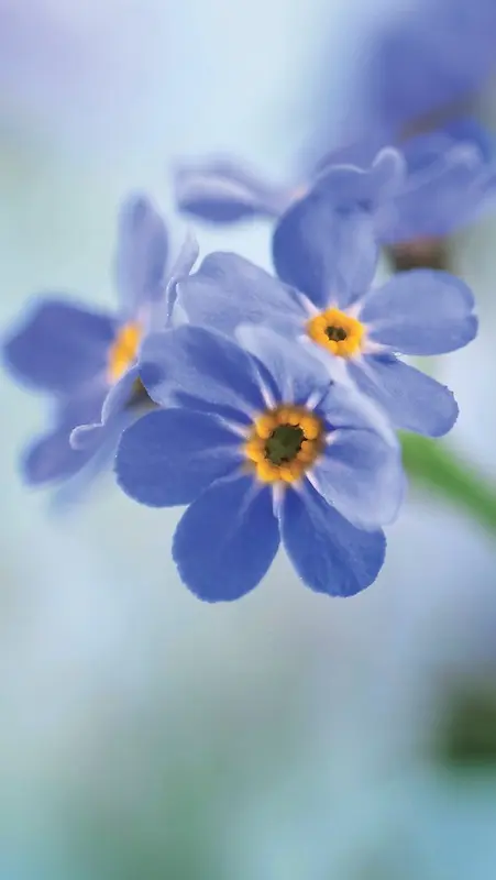 ��ɫ�ʻ���������-������