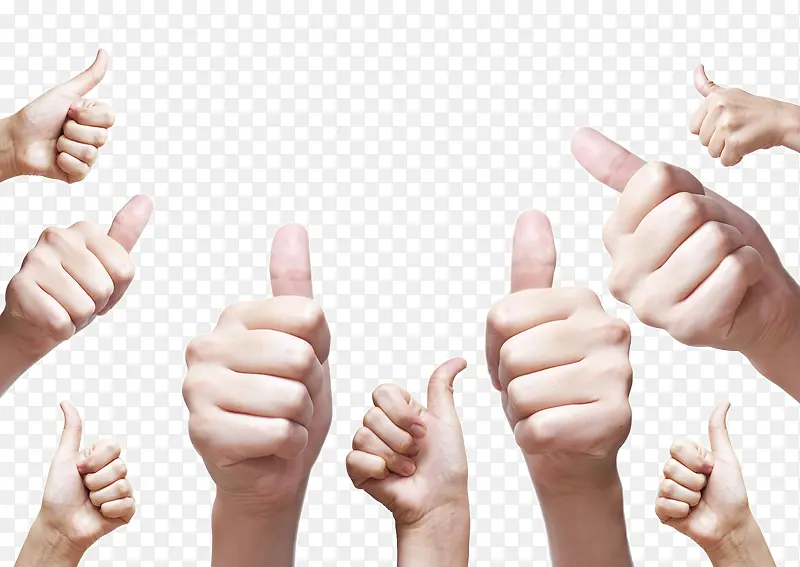 ��ָ-������