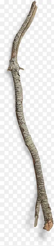 ľ��-������