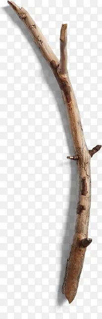 ľ��-������