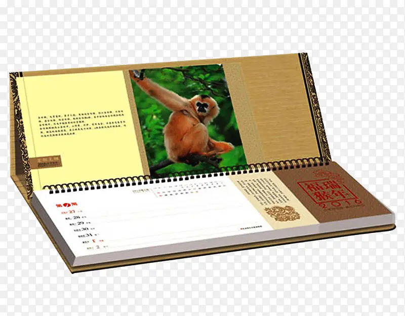 ����-������