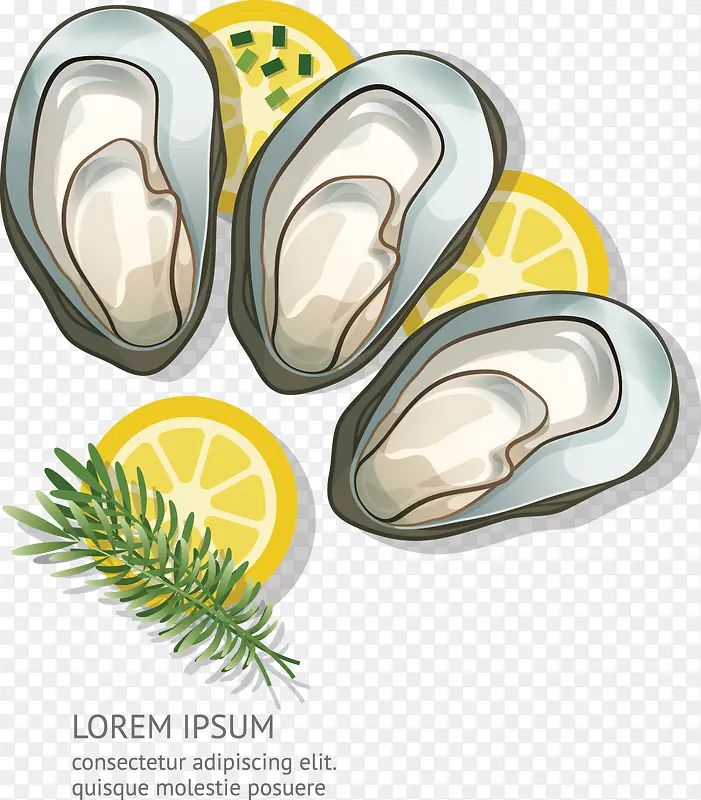 ��ƽ��ʳ��-������