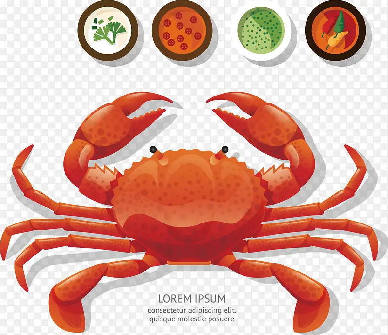 ��ƽ��ʳ��-������