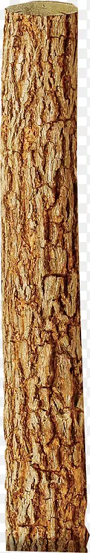 ������ľ������ӰЧ��-������