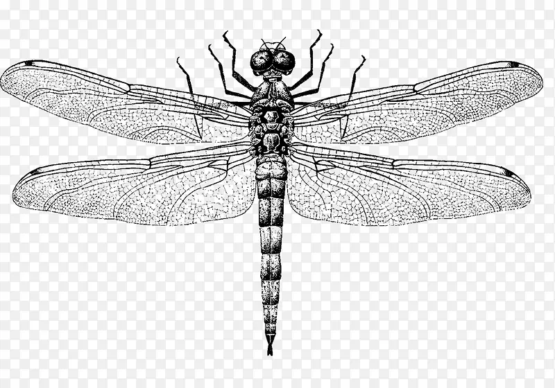 �ֻ�����-������