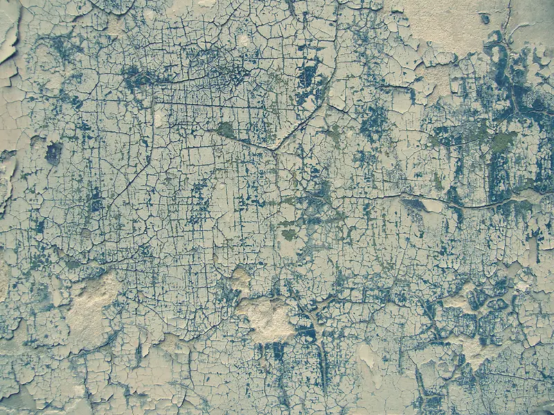 �������Ƶ�ǽ�ڱ���-������