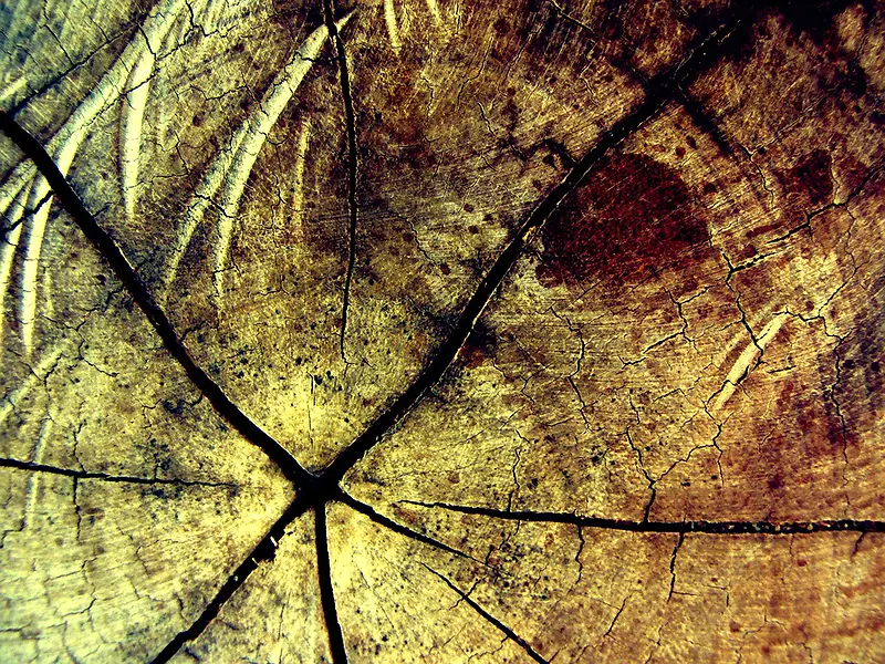 ľ׮�ѷ챳��-������