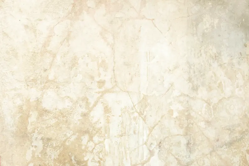 ǽ�����Ʊ���-������