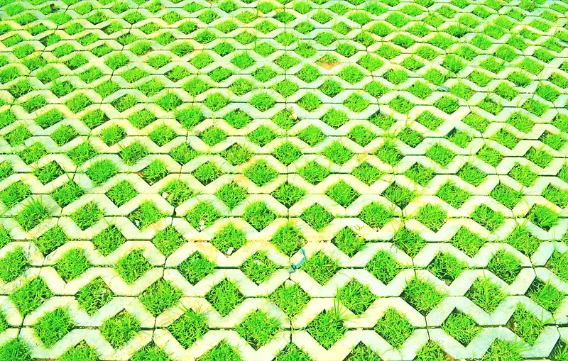 ��ש��Ĳ�-������