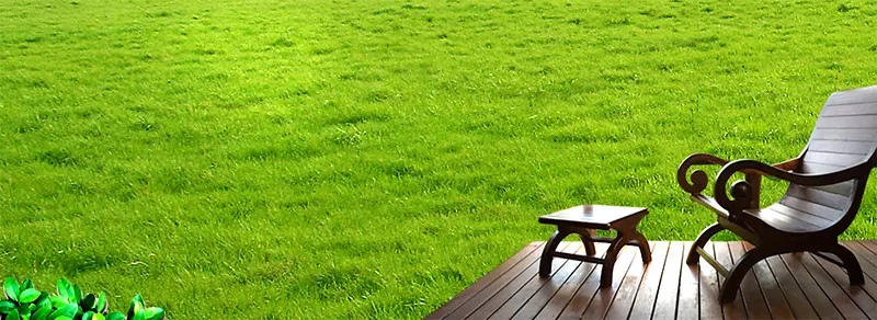 �ݵر���-������