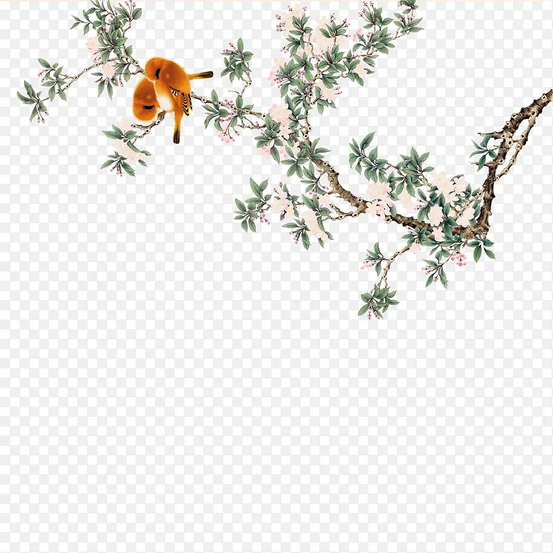 ��֦-������