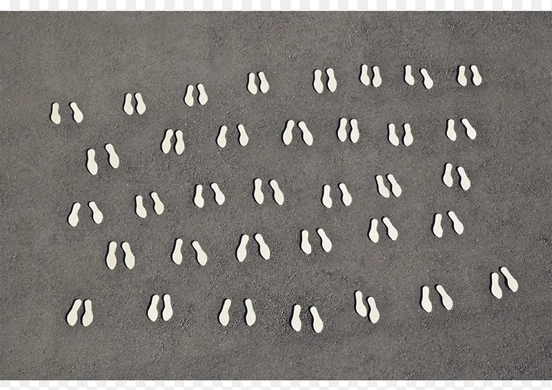 ��ӡˮ��ذ�-������