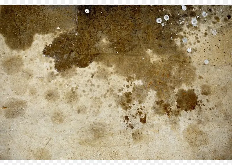 ����ˮ��ذ�-������