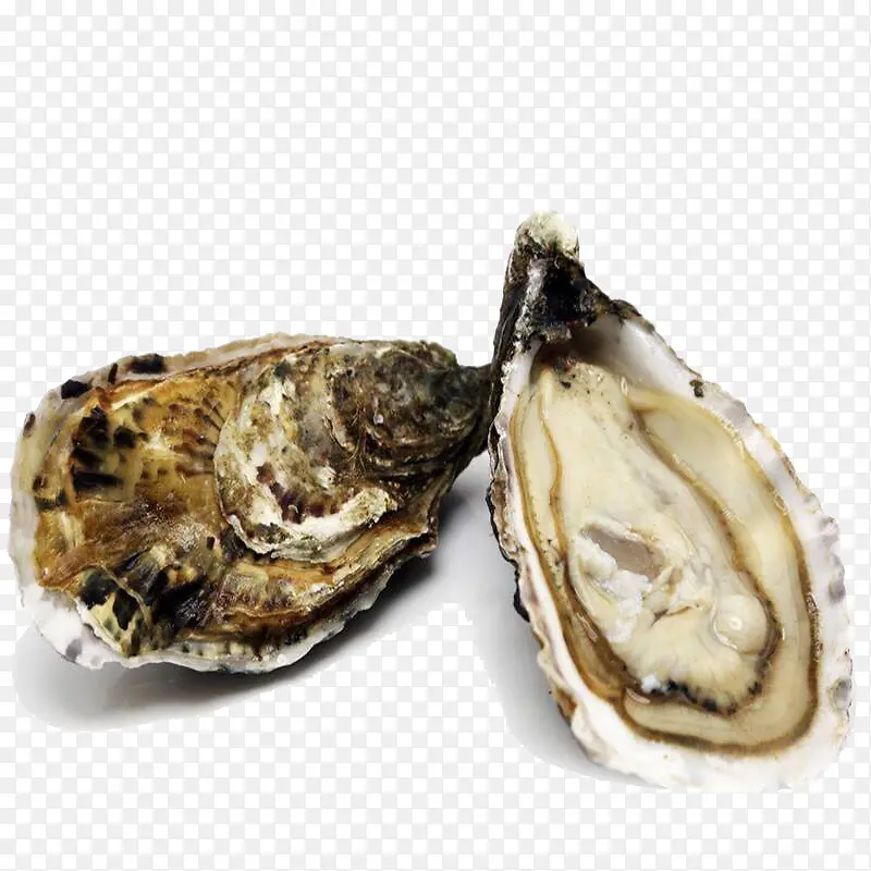 ��ʿ��˽��ڷ������������-������