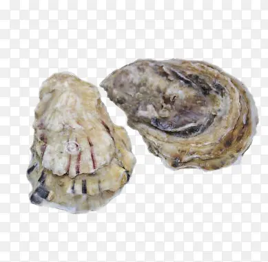 �������������-������