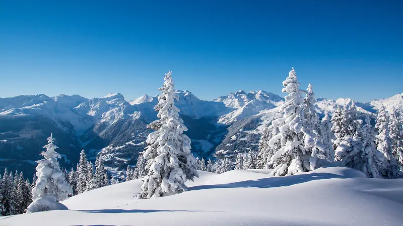 ������Ӱ����ϳ�ѩɽ���-������