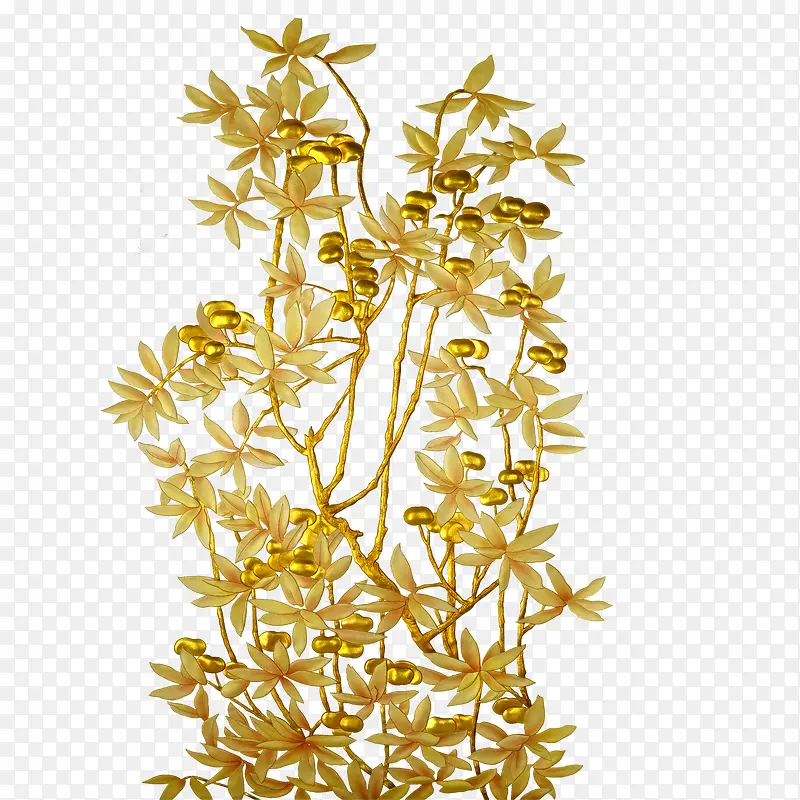 ��֦-������