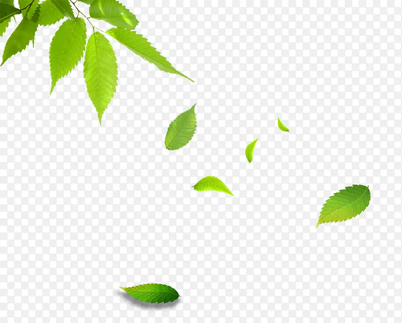 ��֦Ʈ����Ҷ-������