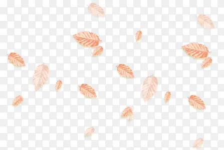 ��ҶƮ�㿨ͨ�ֻ�-������