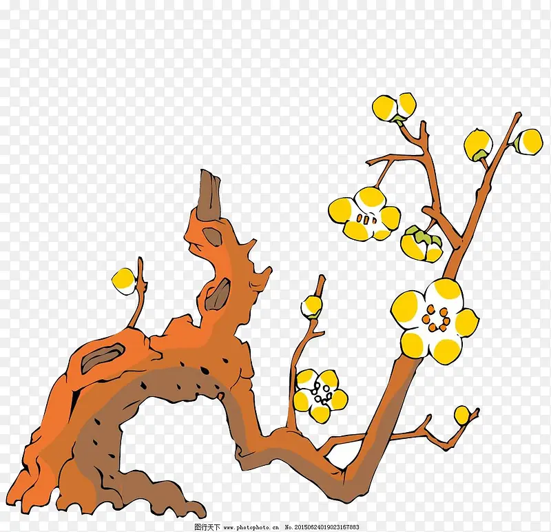 ��֦��÷-������