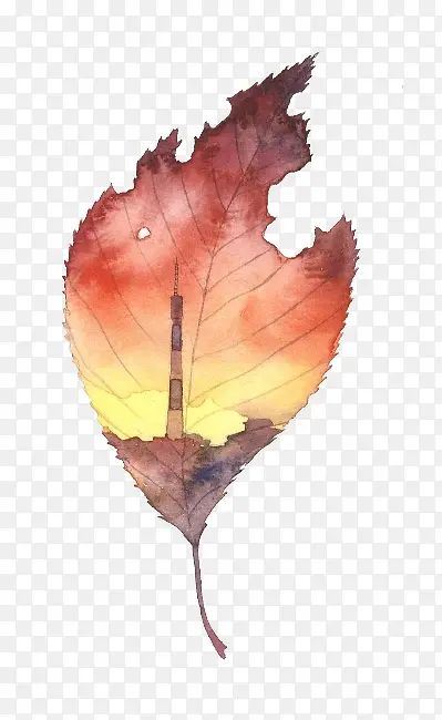 ˮ����Ҷ���������羰��Ԫ��-������