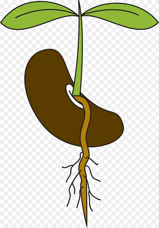 ����ɫ�������Ӳ���-������