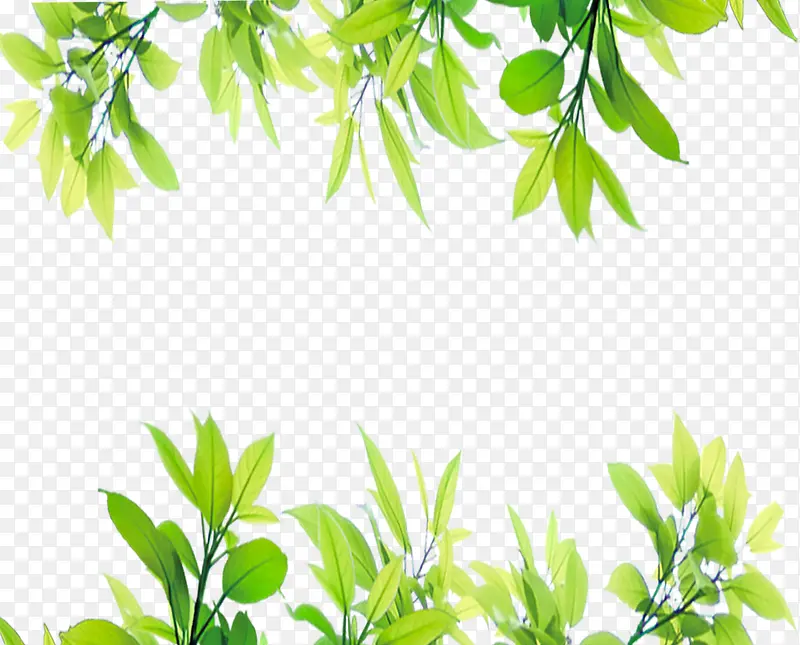 ���⻨��-������