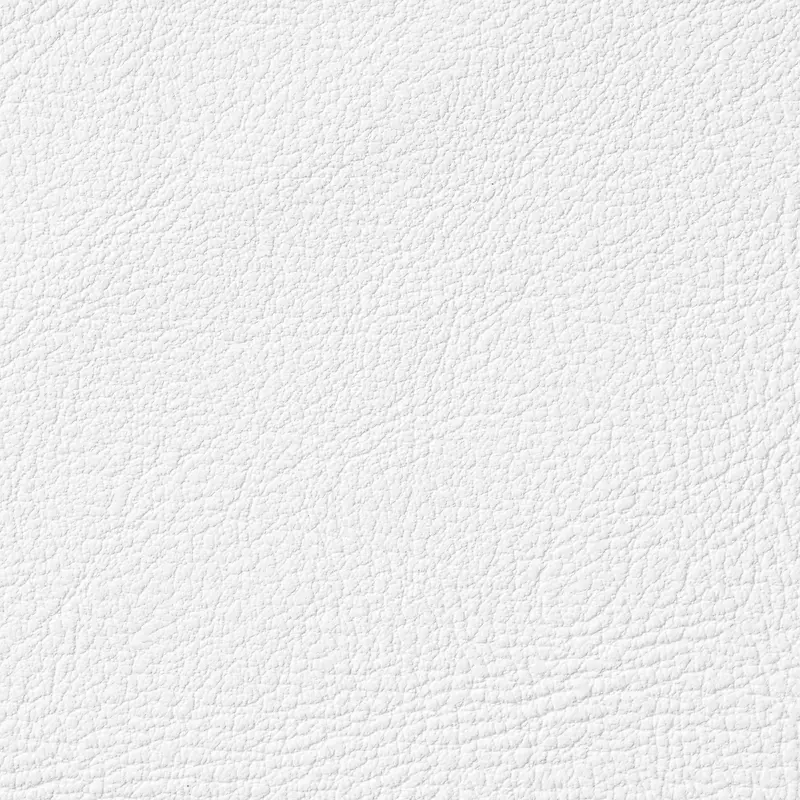 ��ɫƤ�ﱳ��-������