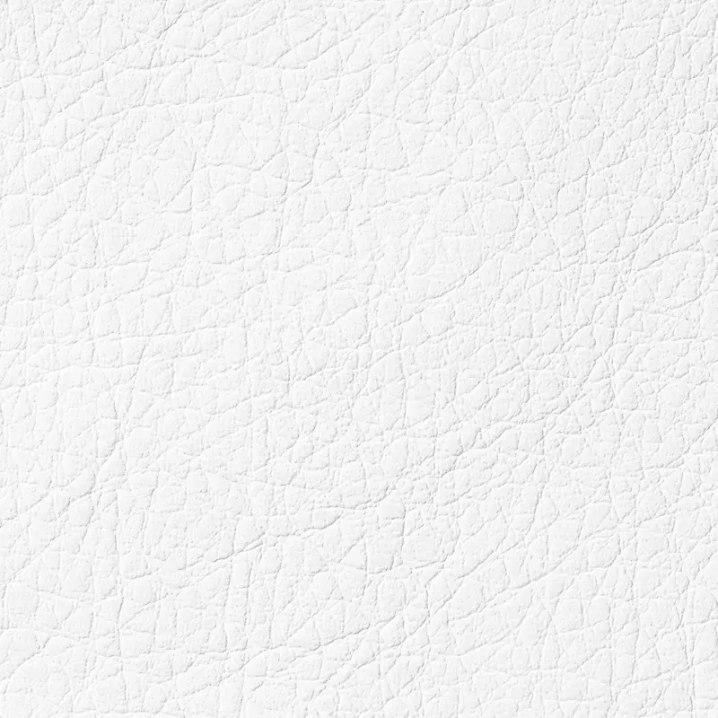 ��ɫ��Ƥ����-������