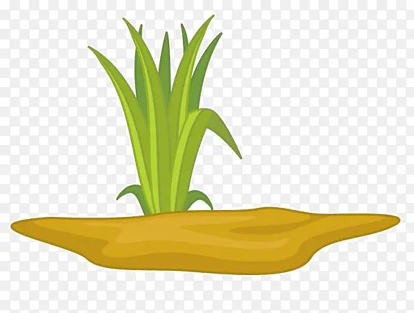 ��ͨ�����ϵĲ�-������