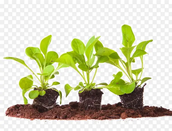 ��ͨ�߲��ز�-������