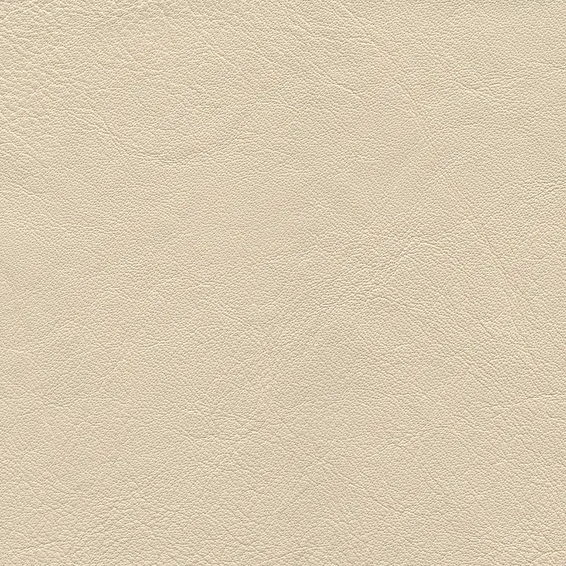 ��ɫƤ�ﱳ��-������