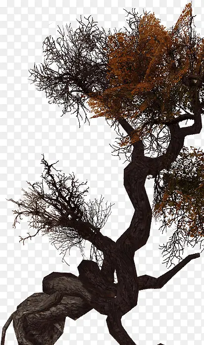 ��������-������