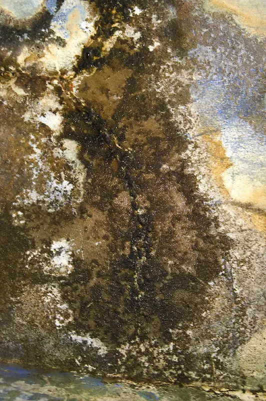 ��ʪ��ǽ�ڱ���-������