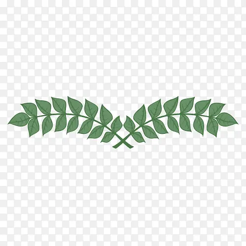 ��ɫ�����-������