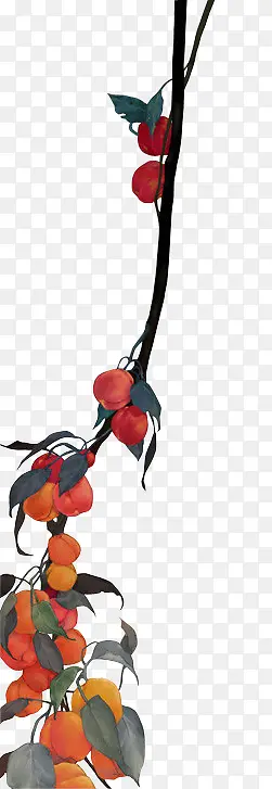 �ֻ泤����ʵ����֦-������