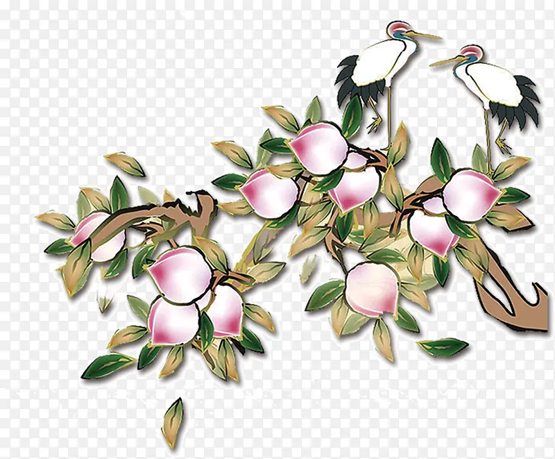 ����֦������-������