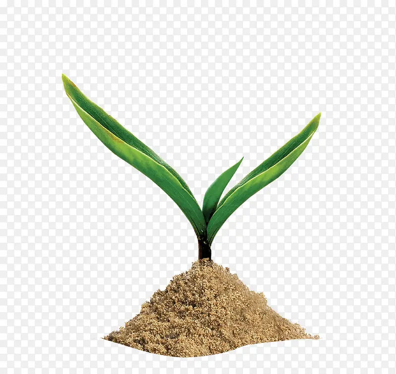 С��-������