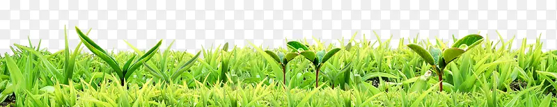 �̲�-������