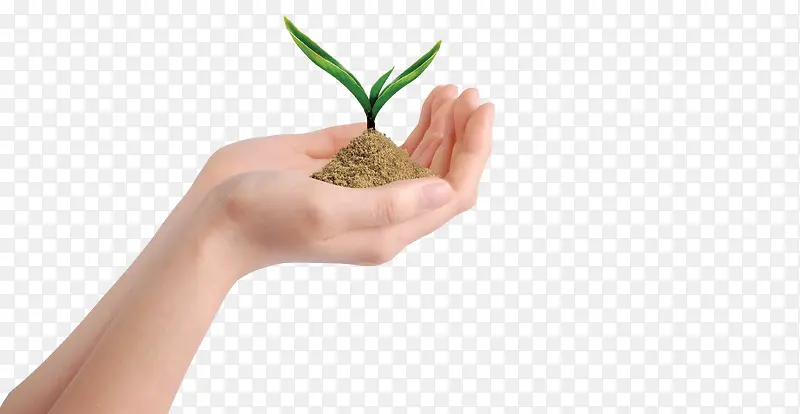 ����С��-������