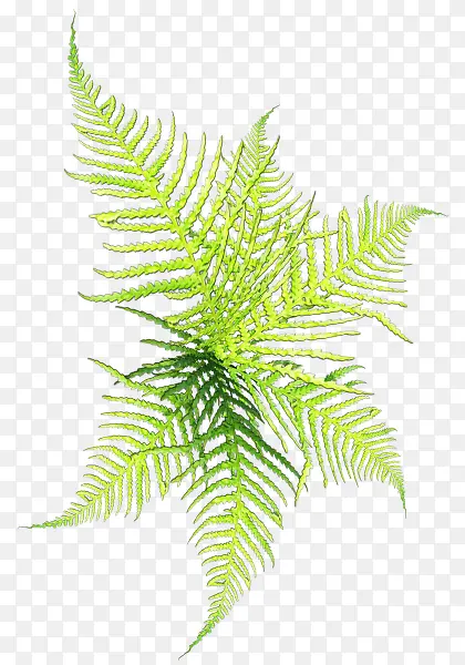 ��������С�� �����ɶ�-������